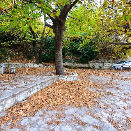 το θέατρο των ονείρων Μέση Συνοικία Τρικάλων