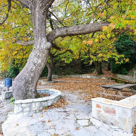 Σπίτι διακοπών το θέατρο των ονείρων Μέση Συνοικία Τρικάλων